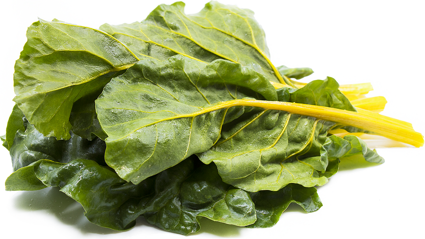 Golden Swiss Chard picture