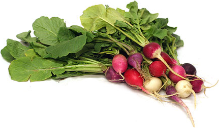 Easter Egg Radish picture