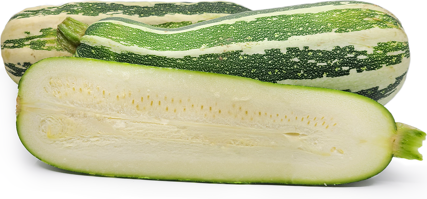 Marrow Squash picture