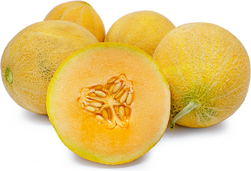 Sugar Queen Melons picture