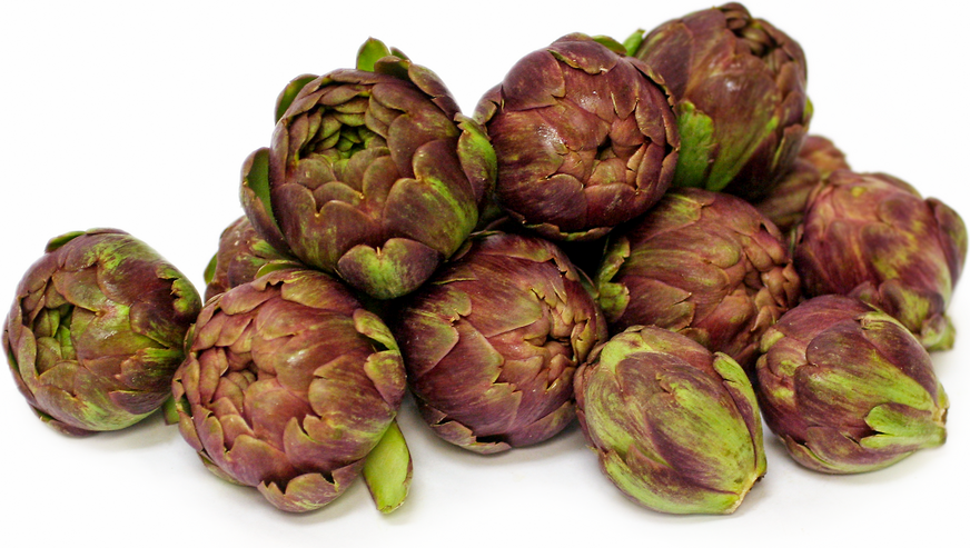 Baby Anzio Artichokes picture