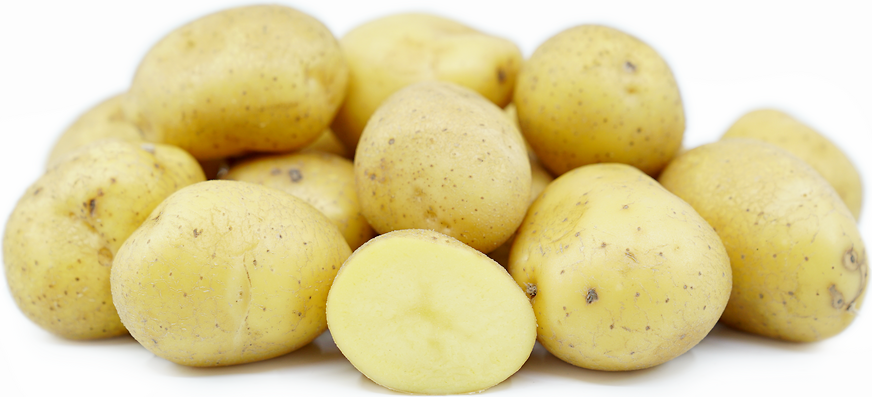 German Butterball Potatoes picture