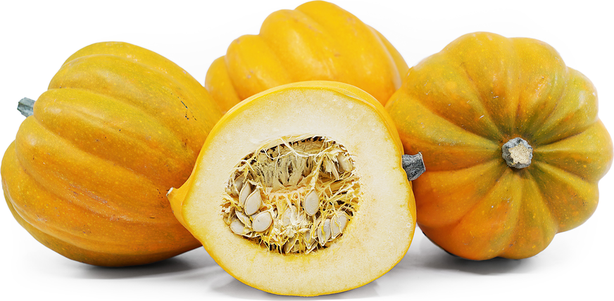 Acorn Squash Information and Facts - Specialty Produce