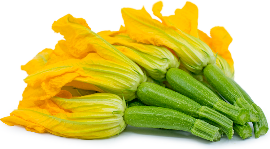 Baby Green Zucchini with Flower picture