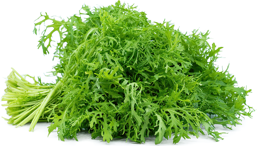 Green Frill Mustard picture