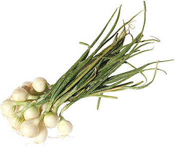 Pearl Onion White With Stem picture