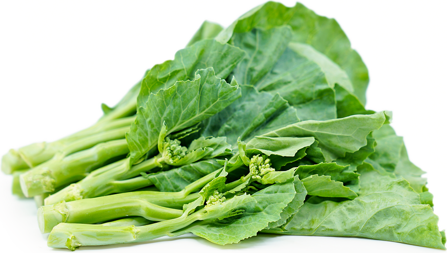 Image result for gai lan