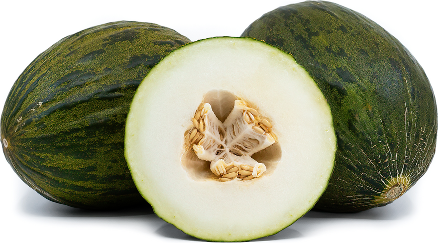 Santa Claus Melon picture