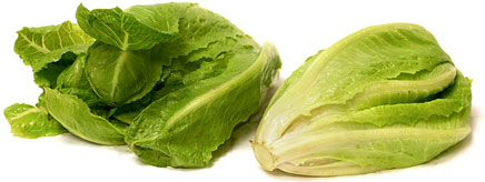 Romaine Lettuce picture