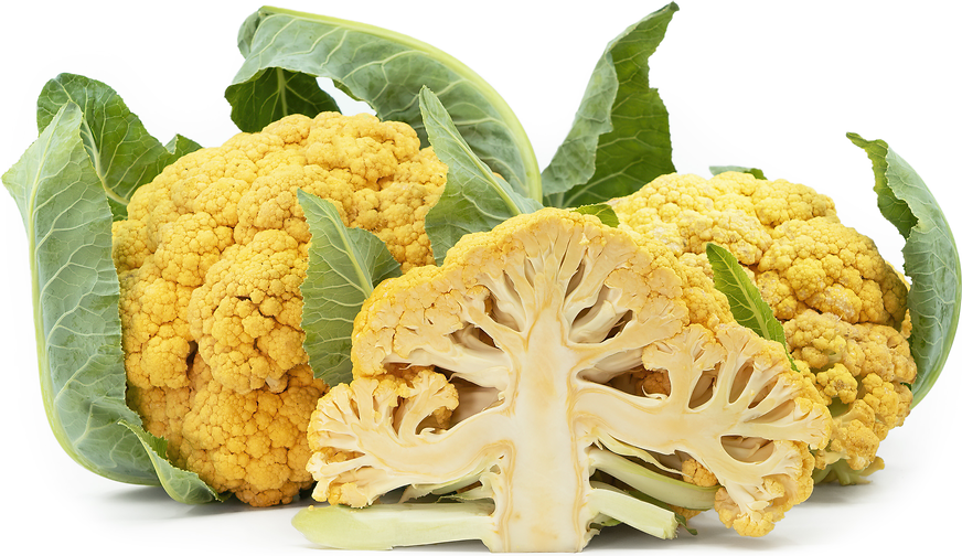 Orange Cauliflower picture