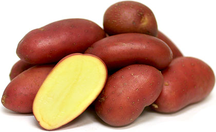 French Heirloom Potatoes picture