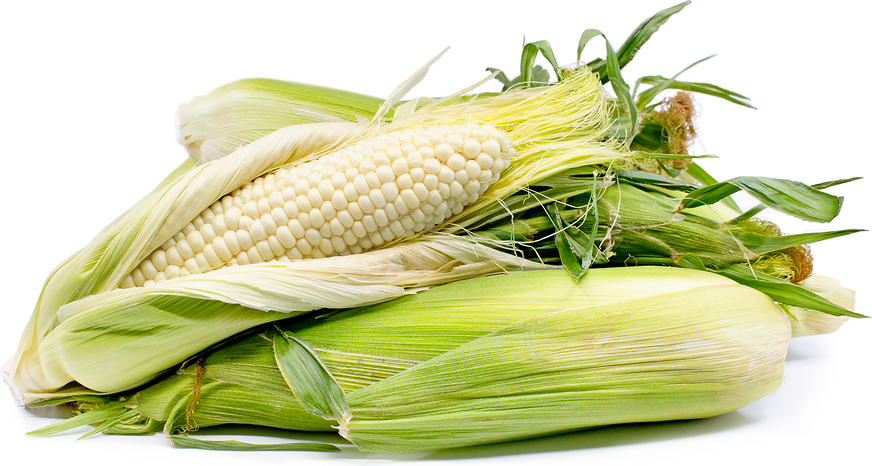 White Corn picture