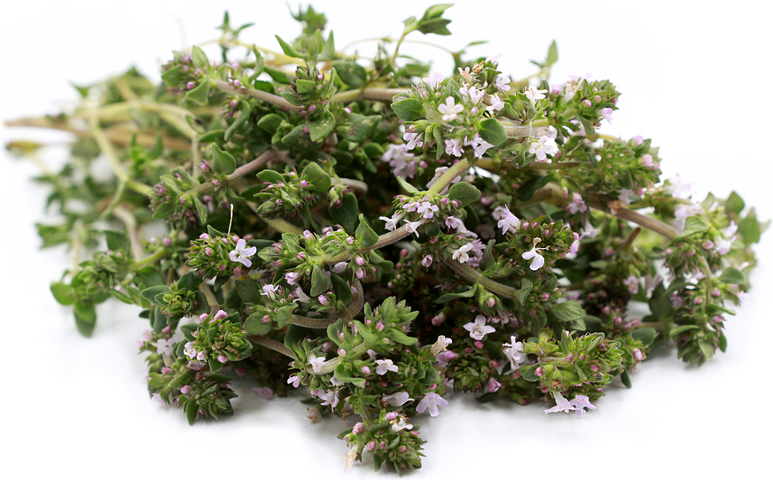 Thyme picture