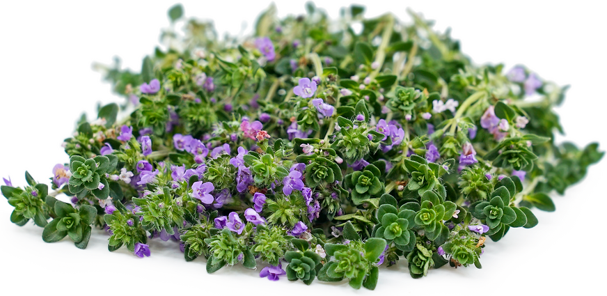 Flowering Thyme picture
