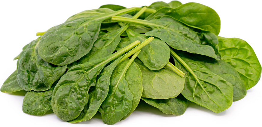 Spinach Baby Spoon picture