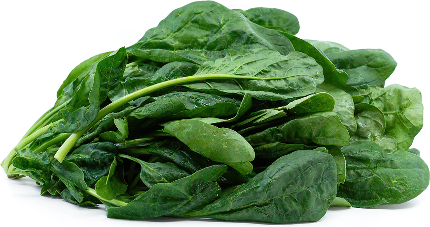 Organic Bunch Spinach picture