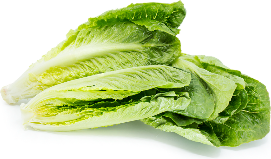 Romaine Hearts picture
