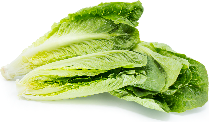 Organic Lett Romaine Hearts picture