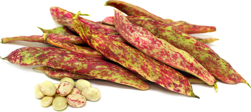 Tongue of Fire Shelling Beans picture