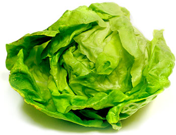 Butter Lettuce picture