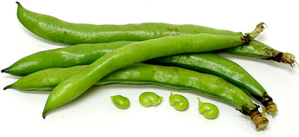 Fava Beans picture
