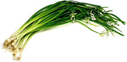 Spring Onions picture