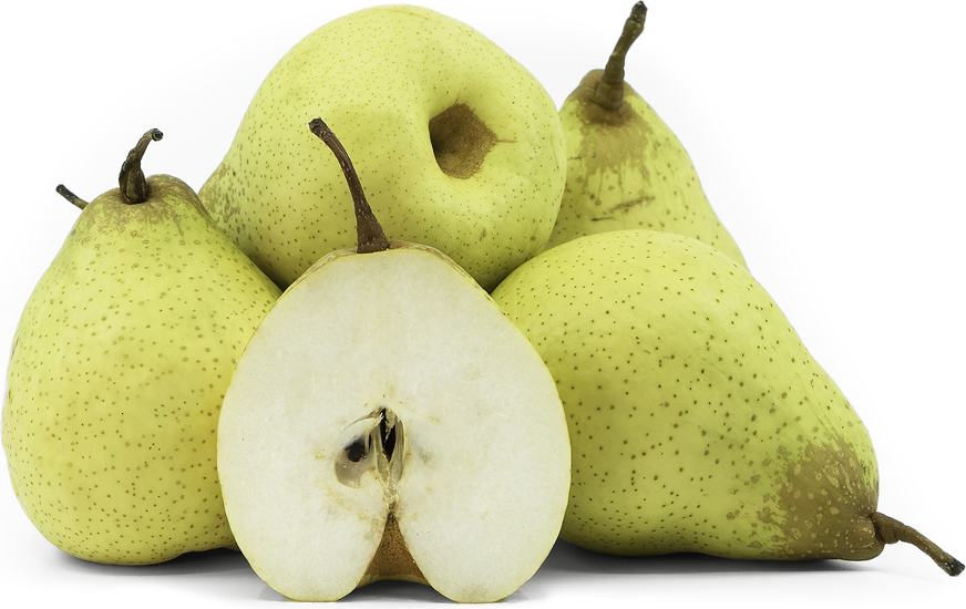 What is a Yali pear?