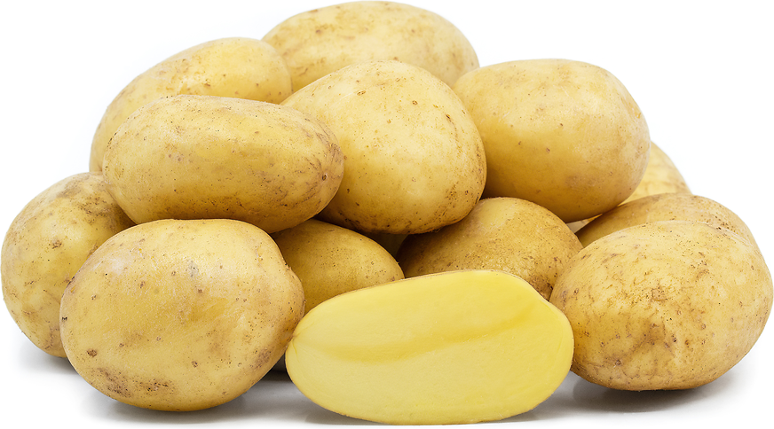 Carola Potatoes picture