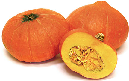 Red Kuri Squash picture