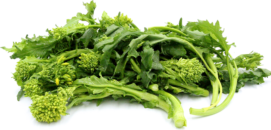 Rapini picture