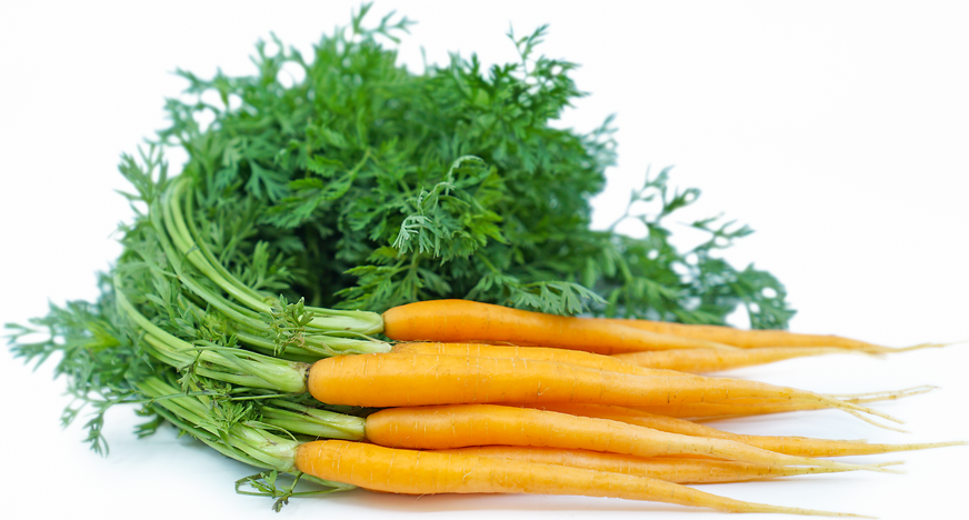 Baby Bunch Carrots picture