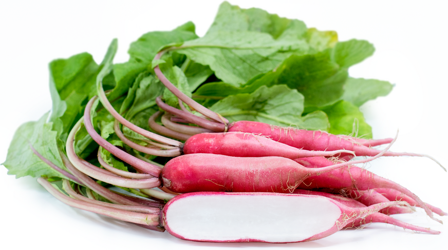 Shunkyo Radish picture