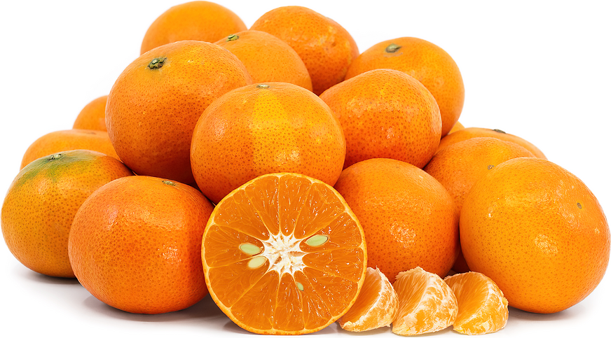 Lee Tangerines picture