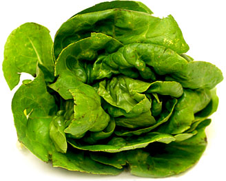 Green Gem Lettuce picture