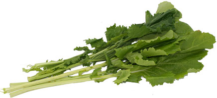 Rapini picture