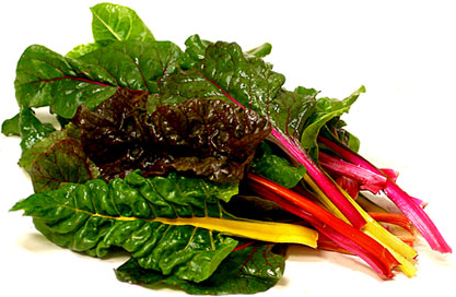 Baby Rainbow Swiss Chard picture