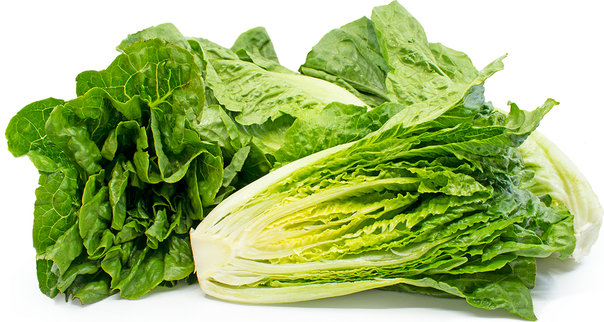 Image result for picture of lettuce