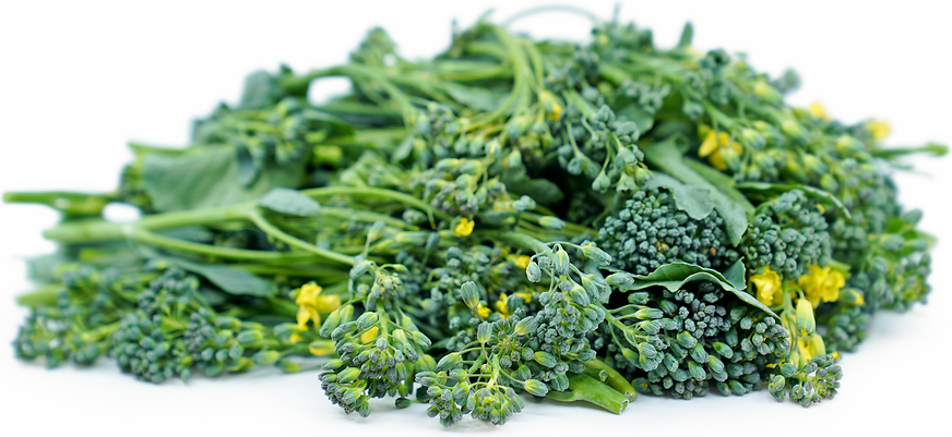 Baby Broccoli picture