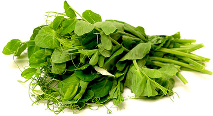 Pea Tendrils picture