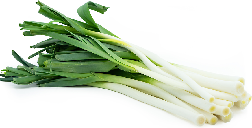 French Leeks picture