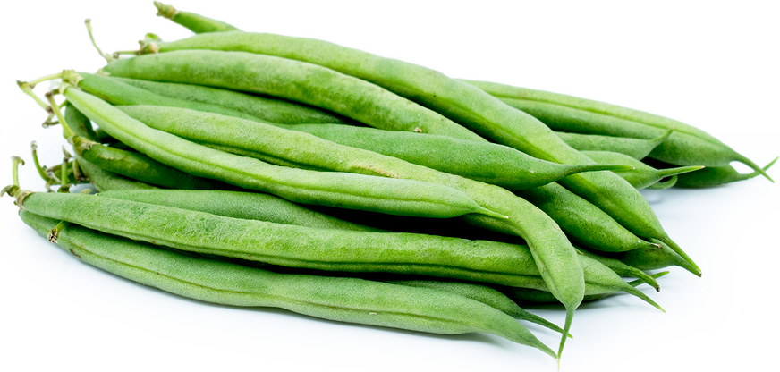 Blue Lake Beans picture