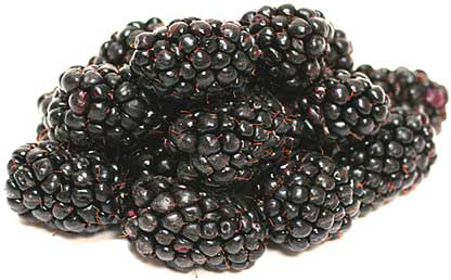 Blackberries picture