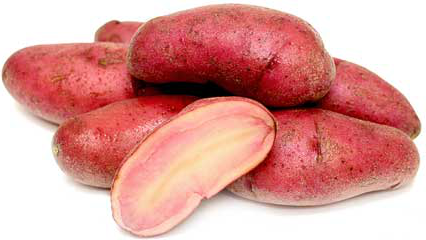 Red Thumb Fingerling Potatoes picture