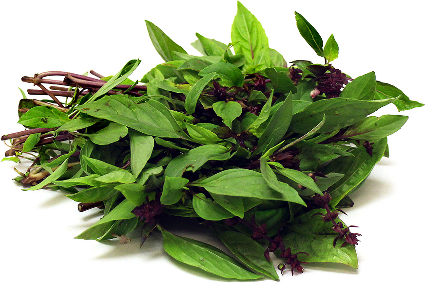 Thai Basil picture