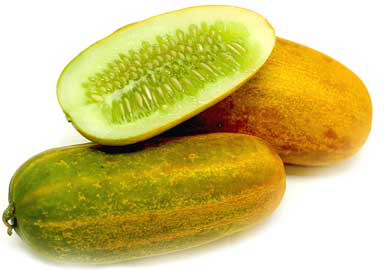 Chinese Yellow Cucumber picture