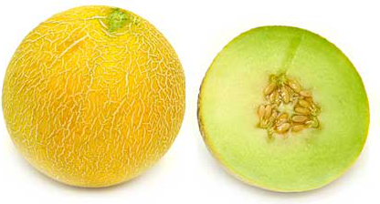 Passport Melons picture