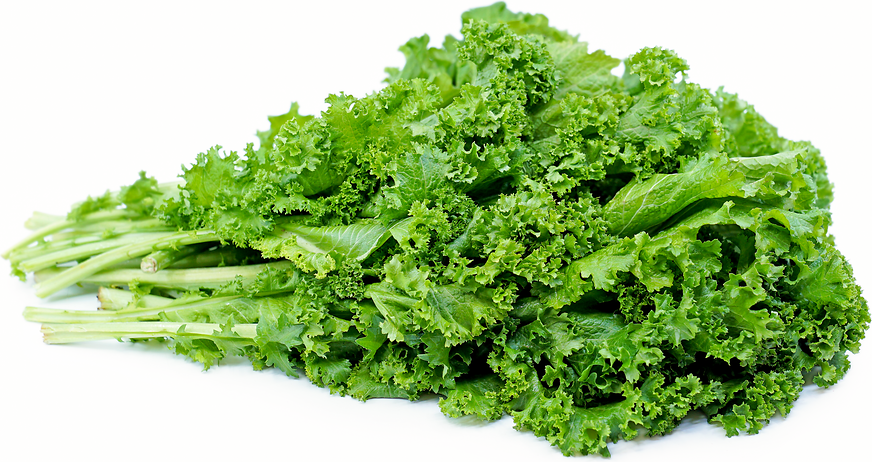 Image result for Mustard Greens