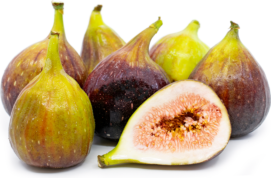 Brown Turkey Figs picture