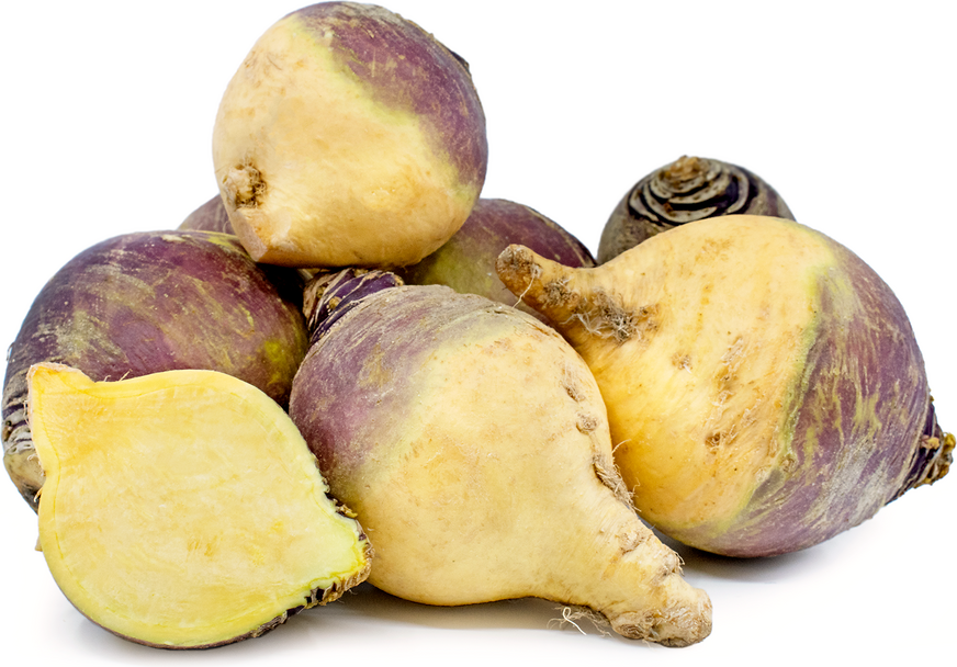 Organic Rutabaga picture