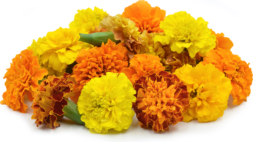 Marigold Flowers picture